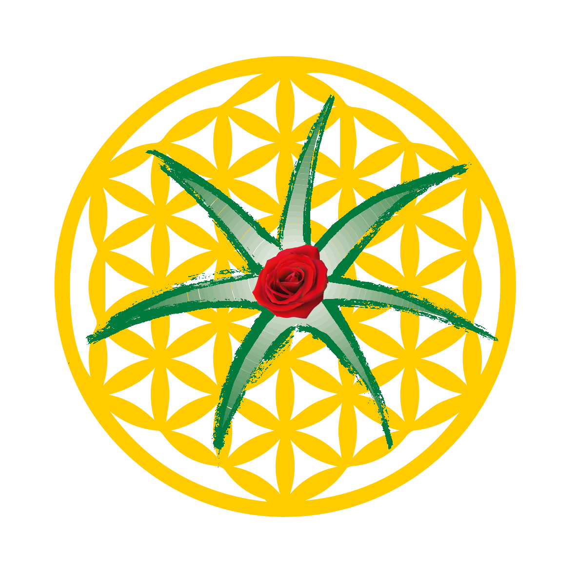 Steinbichler_Logo Rund